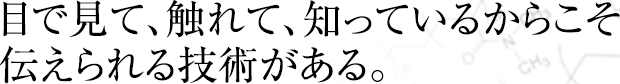 暮らしの中に、大同の可能性を広げていきたい。